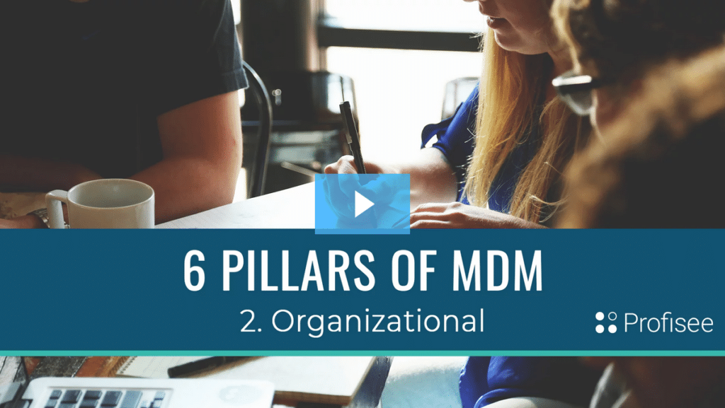 6 Pillars of MDM - Organizational