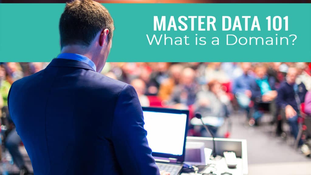 Master Data 101: What is a Domain?