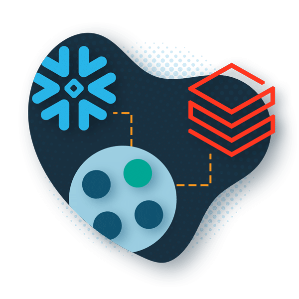 Image depicting Profisee's integration with Snowflake and Databricks
