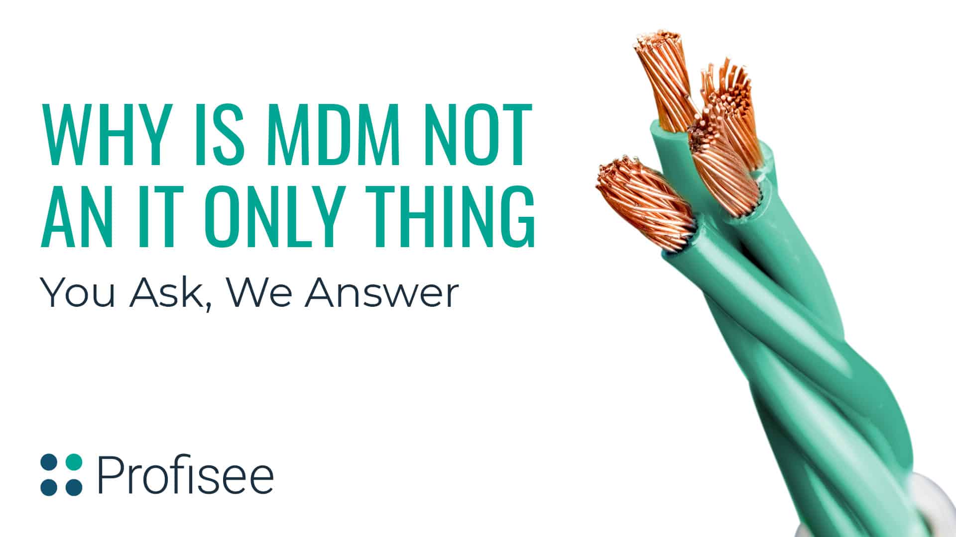 Why Master Data Management Is Not Just an IT Thing