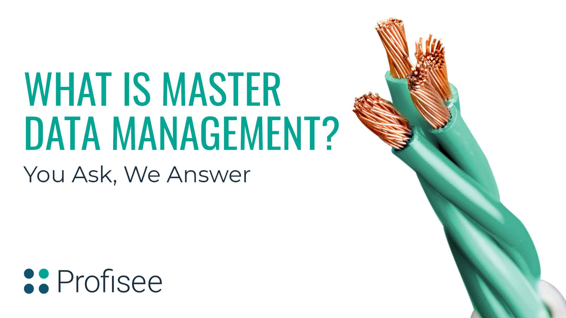 What is Master Data Management?