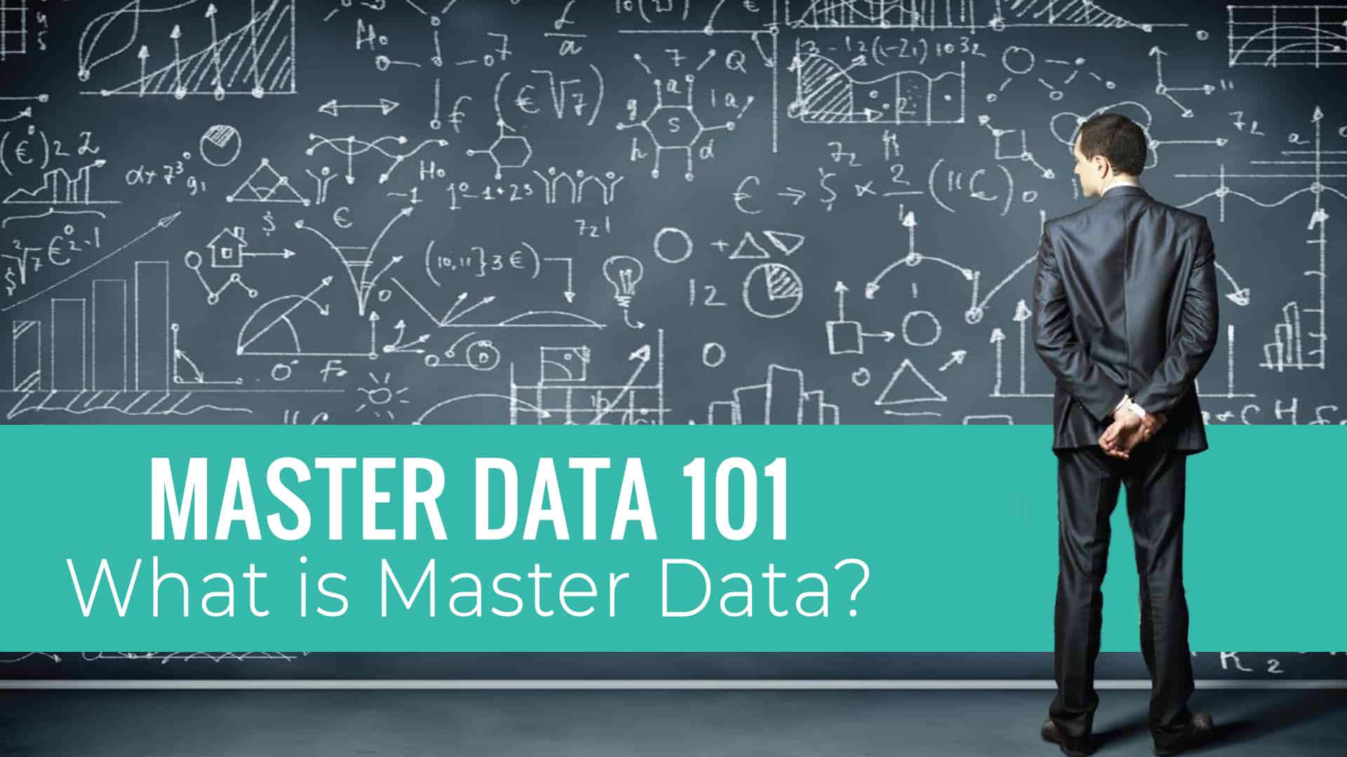 MDM 101 What Is Master Data Profisee